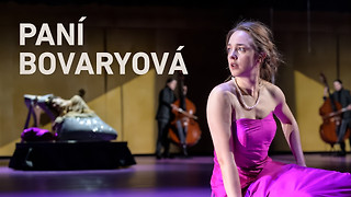 Paní Bovaryová