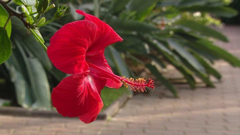 Týden v regionech (Ostrava) - 11. listopadu 2023