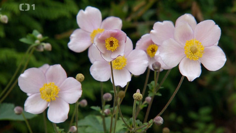 Polopatě - 25. září 2022