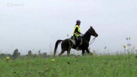 Jezdectví - M ČR v jezdecké vytrvalosti mladých jezdců 2014