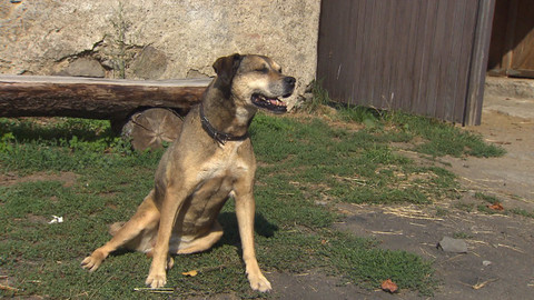 Chcete mě? - 29. listopadu 2015