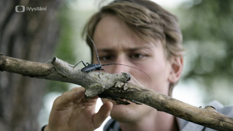 Do divočiny! - 7. Dub a jeho svět