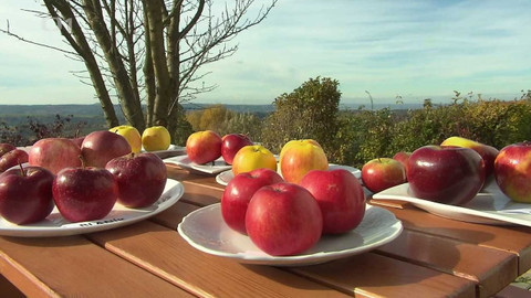 Hobby naší doby - 22. ledna 2022