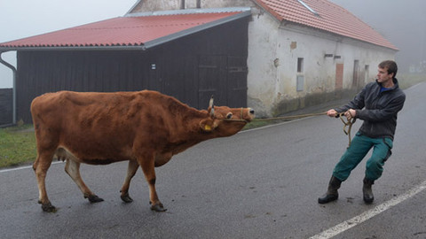 Malá farma - Škatulata, škatulata...