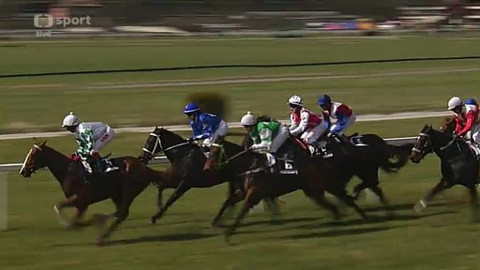 Jezdectví - Velká dubnová cena