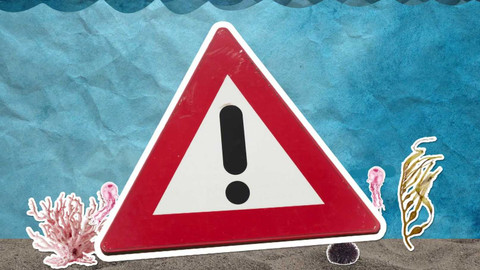 To je něco! - Proč medúzy žahají, když se jich dotkneme?