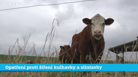 Události v regionech (sever a východ) - 27. března