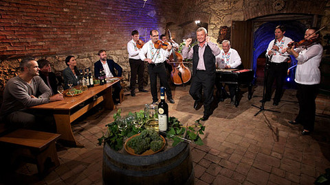 Vínečko - Ze Sedlce o vínech VOC a biovínech