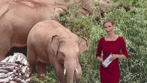 Horizont ČT24 - 8. června 2021