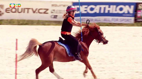 Lvíčata - 23. června 2018