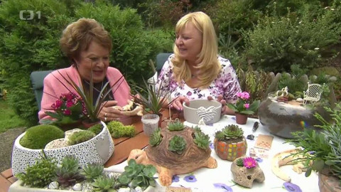 Hobby naší doby - 28. října 2017