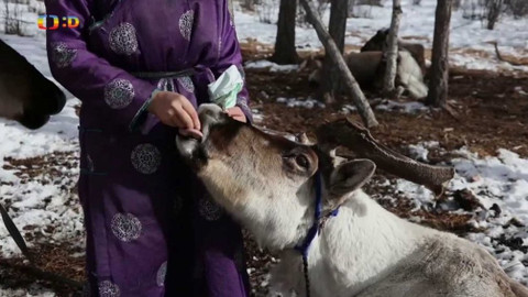 Zprávičky - 11. dubna 2018