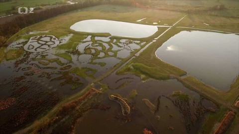 Nedej se! - Louky znovu zrozené