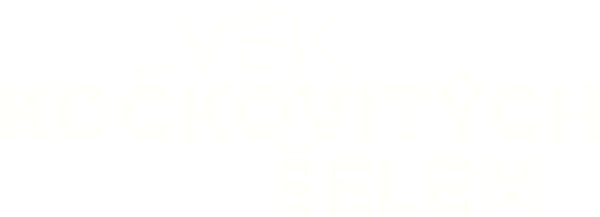 Věk kočkovitých šelem