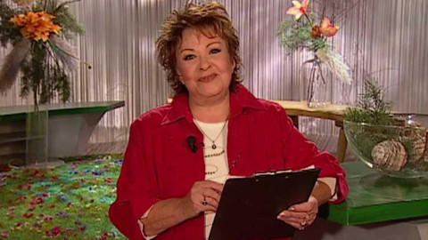 Dobrá rada nad zlato - 9. prosince 2006