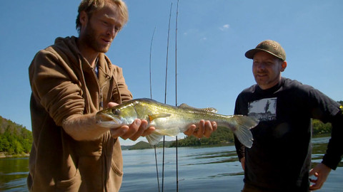 Rybí svět Jakuba Vágnera - 2/3 Candát