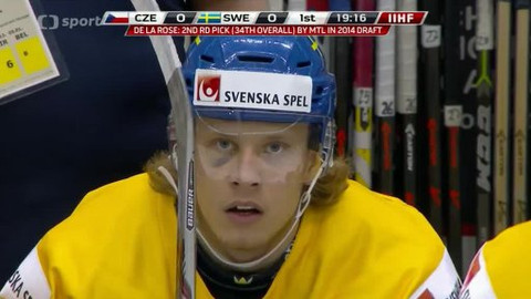 Hokej - Česko - Švédsko