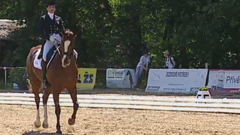 Jezdectví - Světový pohár v drezuře 2012 Česko