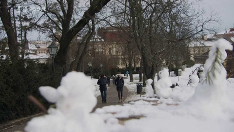 Volejbalový magazín - 26. ledna 2021