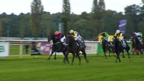 Sport v regionech - Kůň roku Prostějov