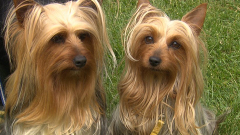 Chcete mě? - 4. listopadu 2018