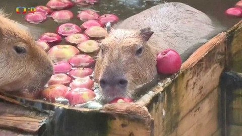 Zprávičky - 29. listopadu 2021