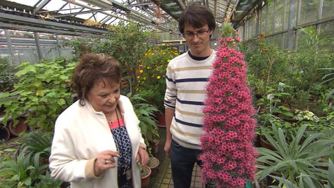 Hobby naší doby - 11. června 2016