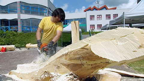 Týden v regionech (Ostrava) - 21. května 2011