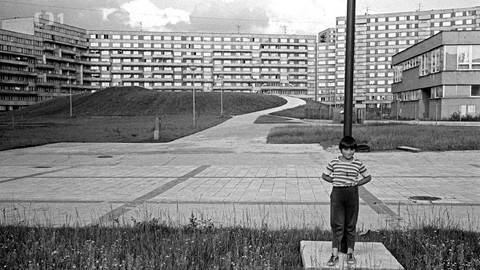 Týden v regionech (Ostrava) - 25. května 2024