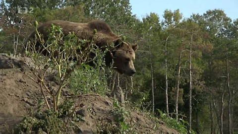 Kvarteto - Co se děje v ZOO v zimě?