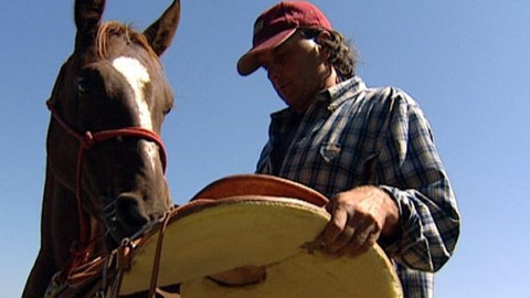 Chcete mě? - 4. září 2009