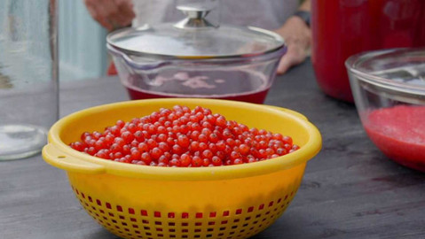 Co naše babičky uměly a na co my jsme zapomněli - Rybíz? Rybíz!