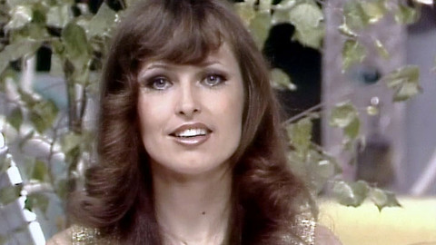 Z melodie do melodie aneb Televizní samoobsluha