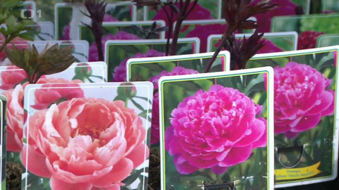 Hobby naší doby - 26. května 2018