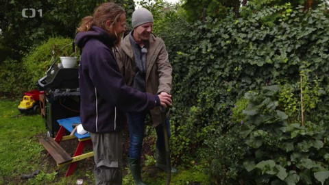 Ferdinandovy zahrady - 4/8 Malá městská zahrada