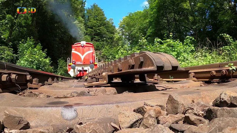 Zprávičky - 4. července 2022