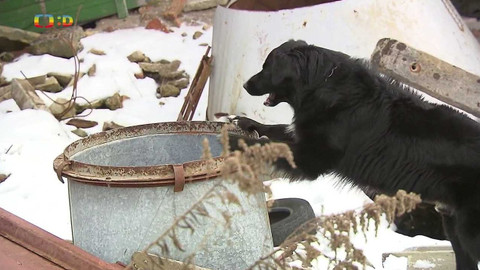 Zprávičky - 8. února 2023