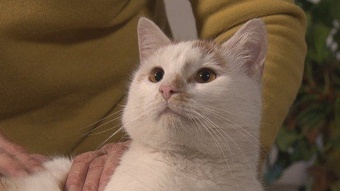 Chcete mě? - Chcete je?