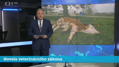 Události v regionech (Praha) - 17. ledna