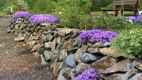 Zahrada je hra - 28. srpna 2008