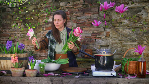 Herbář - 27. října 2024