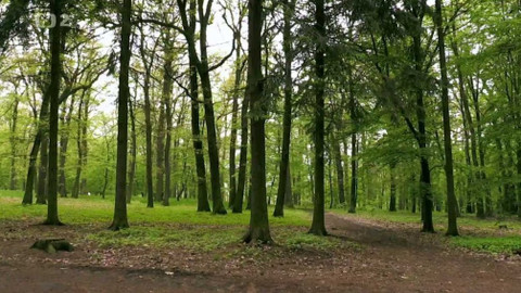 Nedej se! - Hlad po lese