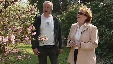 Dobrá rada nad zlato - 21. května 2006