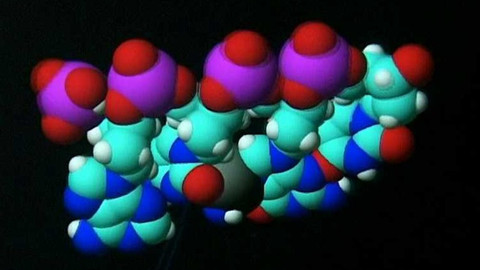 Popularis - 27. září 2005