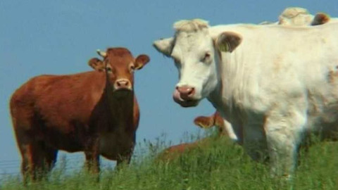 Popularis - 21. června 2005