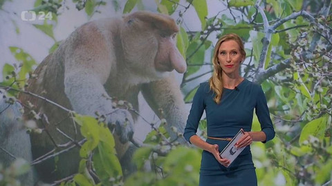 Horizont ČT24 - 29. srpna 2017