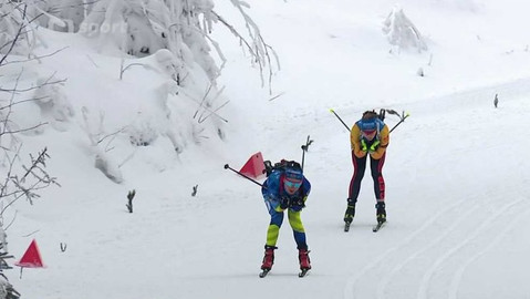 Světový pohár v biatlonu - Německo