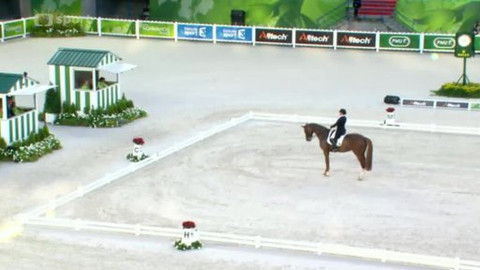 Světové jezdecké hry 2014 Francie - 3. den