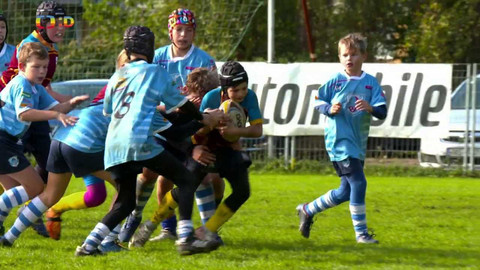 Lvíčata - 11. listopadu 2023