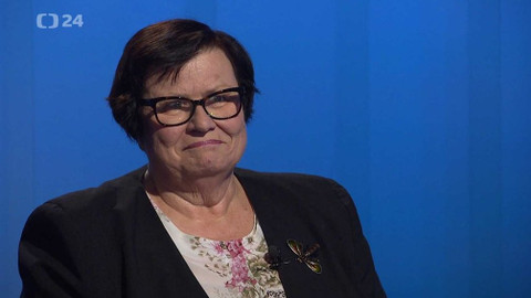 Interview ČT24 - 29. července 2019